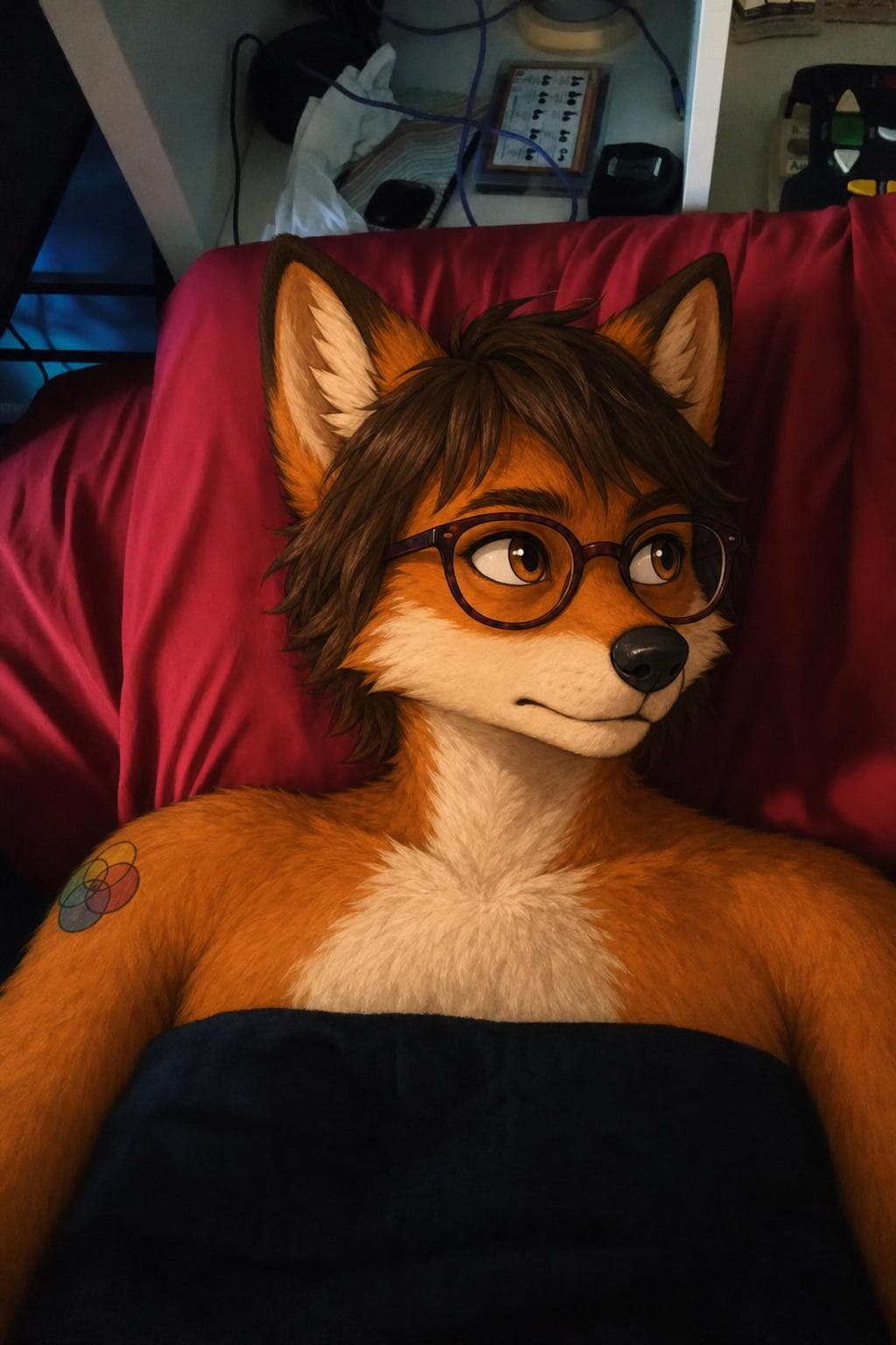 Moxie seated, showing another expression and her chest markings.